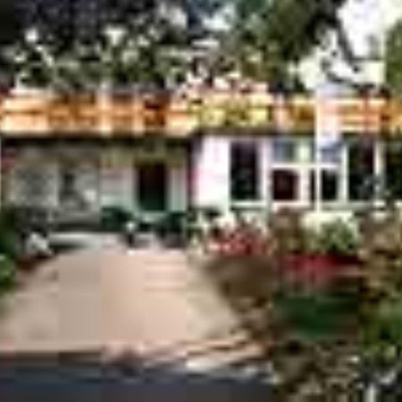 Pension Pueschmann Chemnitz Exterior photo